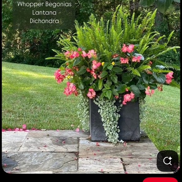 cottagemomma